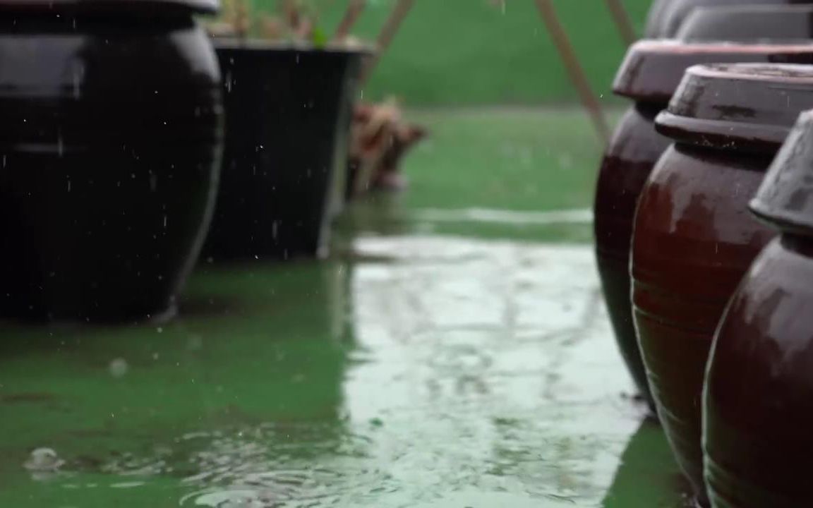 韩国背景屋顶罐子、雨声 轻柔的雨声、助眠、失眠、放松、睡眠、学习、背景乐、治疗、冥想音乐、自然的声音、睡觉的图像哔哩哔哩bilibili