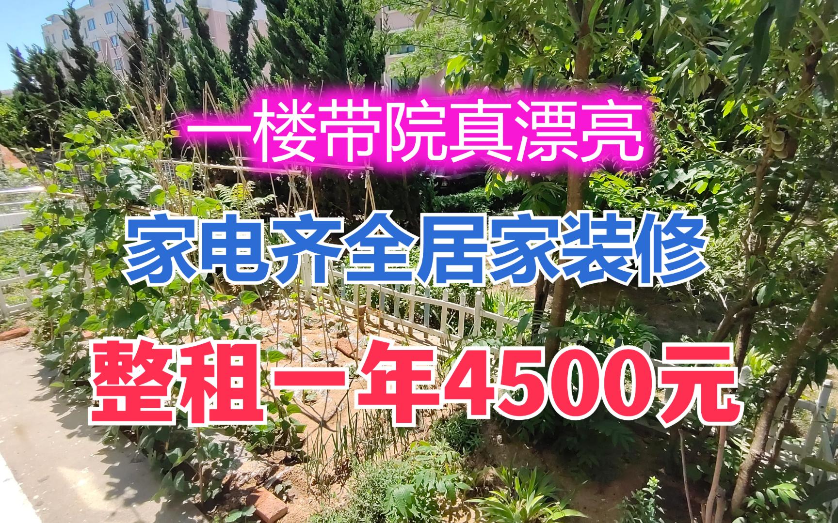 在海边有套自己的小院子,租一年才4500元.来乳山银滩享受生活哔哩哔哩bilibili