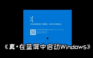 Download Video: 《真•在蓝屏中启动Windows》