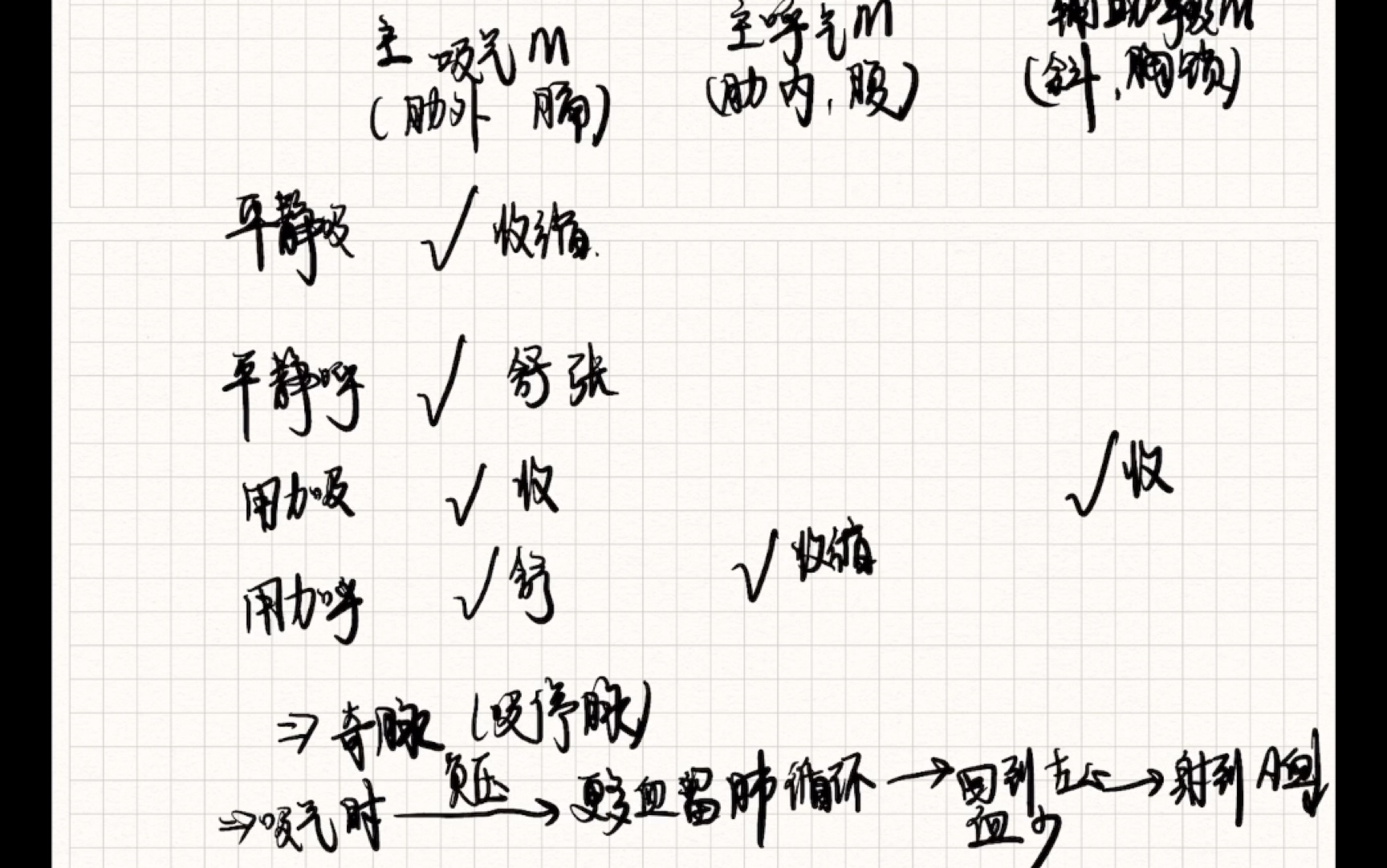 从胸内负压分析起——纵隔扑动/反常呼吸/胸腹矛盾运动/奇脉/影响肥厚性心肌病杂音的因素哔哩哔哩bilibili