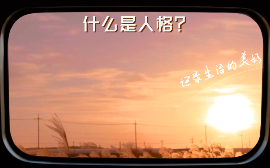 什么是人格？