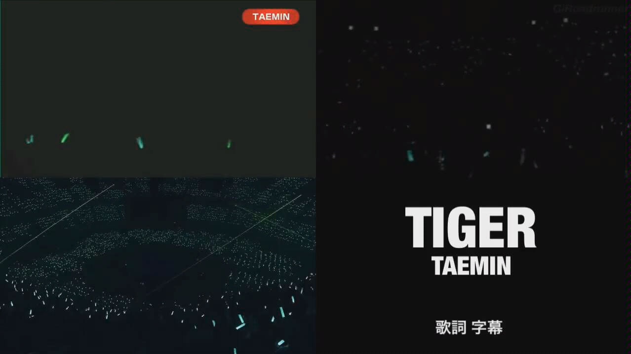 泰民tiger舞台画面合并付日文歌词字幕
