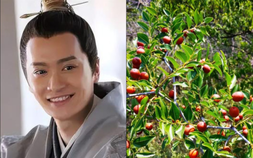 琅琊榜·言豫津(30)