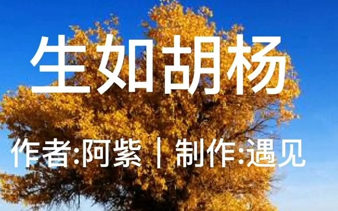 诵读经典作品#阿紫 #《生如胡杨》哔哩哔哩bilibili