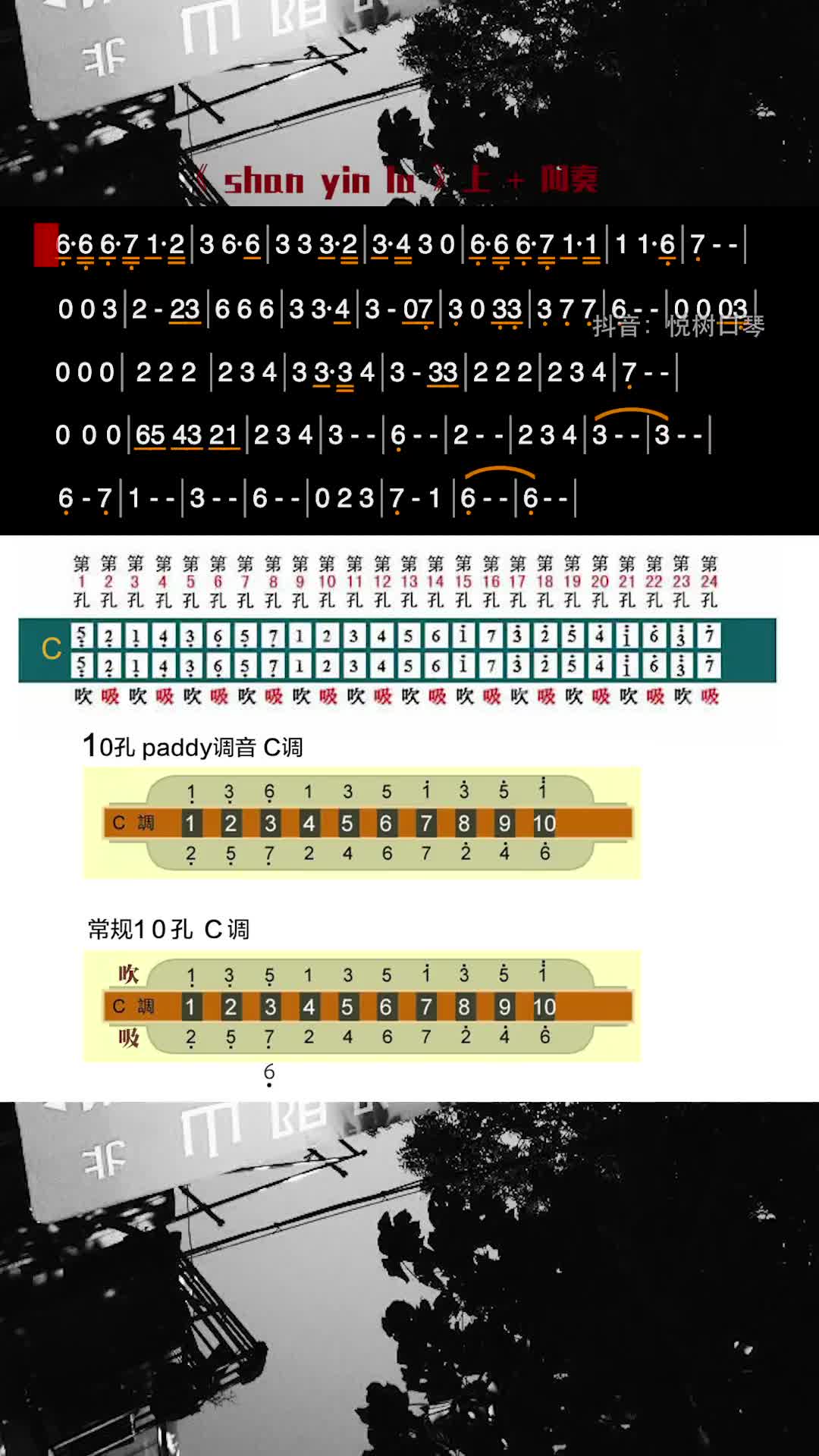 保持理智口琴十孔口琴口琴音符教学乐器