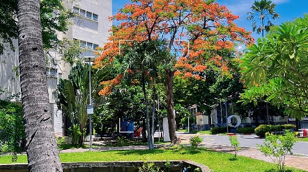 泰国曼谷皇家理工大学花园式校园环境实拍来啦!