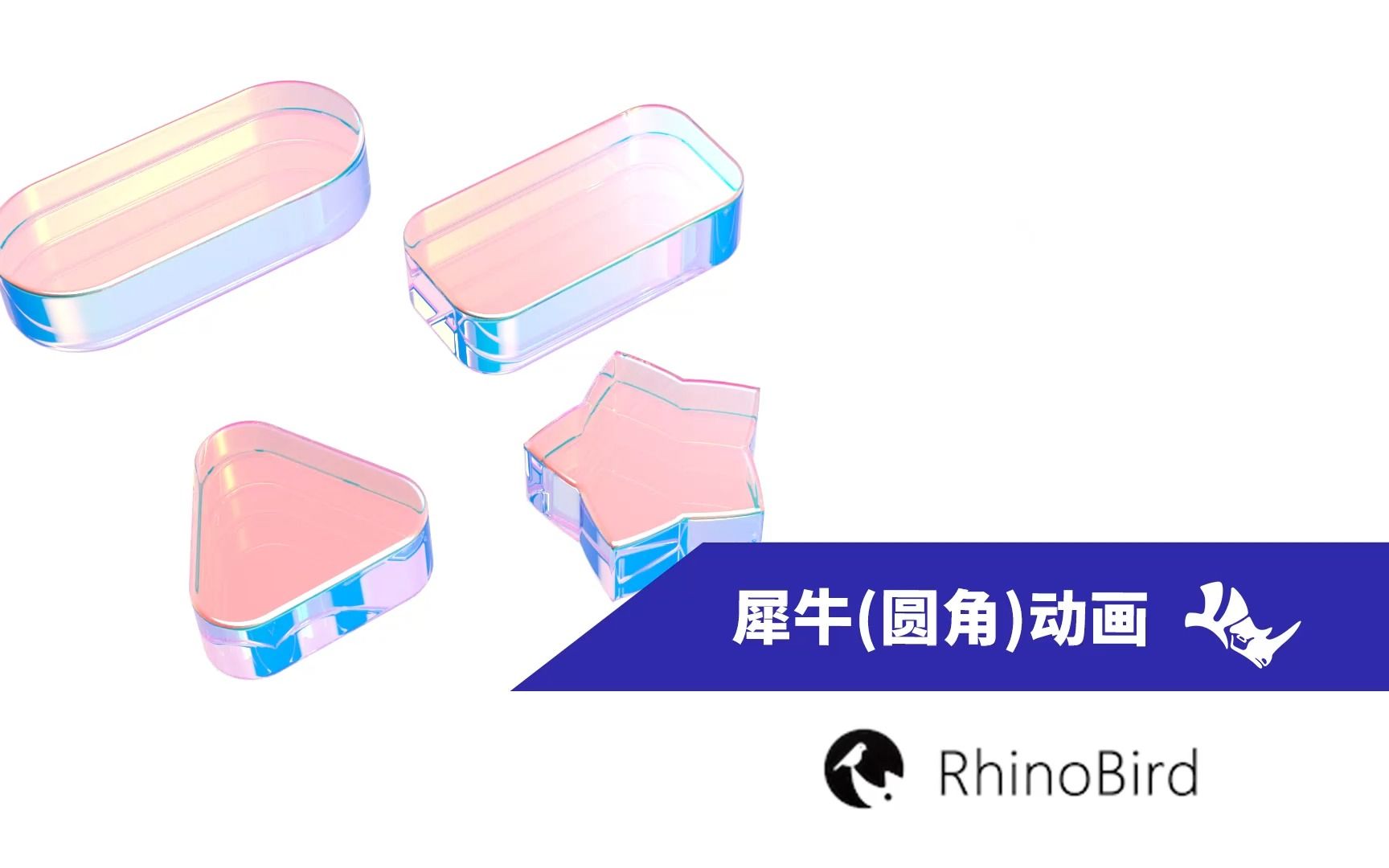 RhinoBird 犀牛鸟(圆角)动画—KeyShot渲染哔哩哔哩bilibili