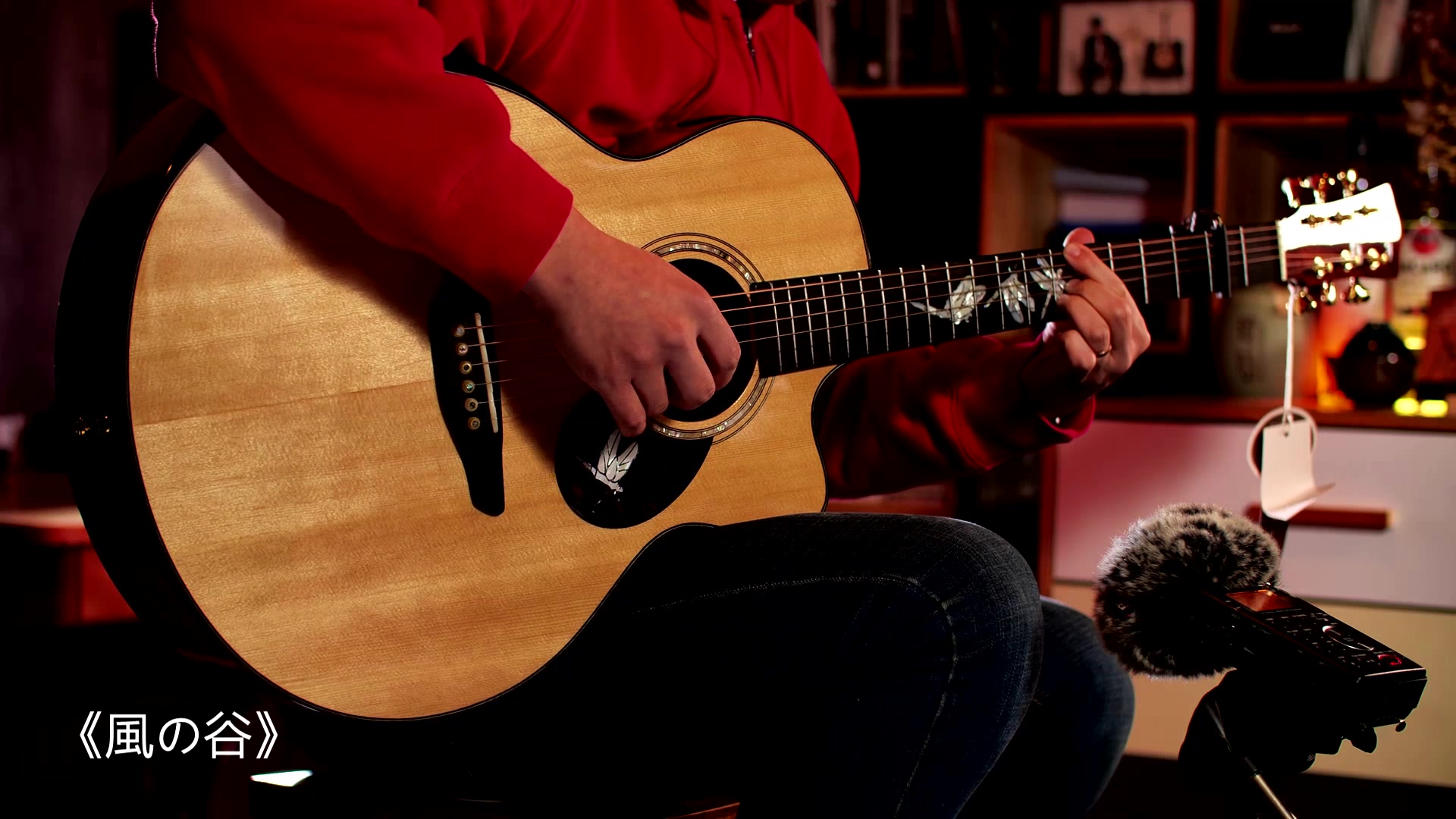 莫奈吉他dragonfly ja 蜻蜓评测