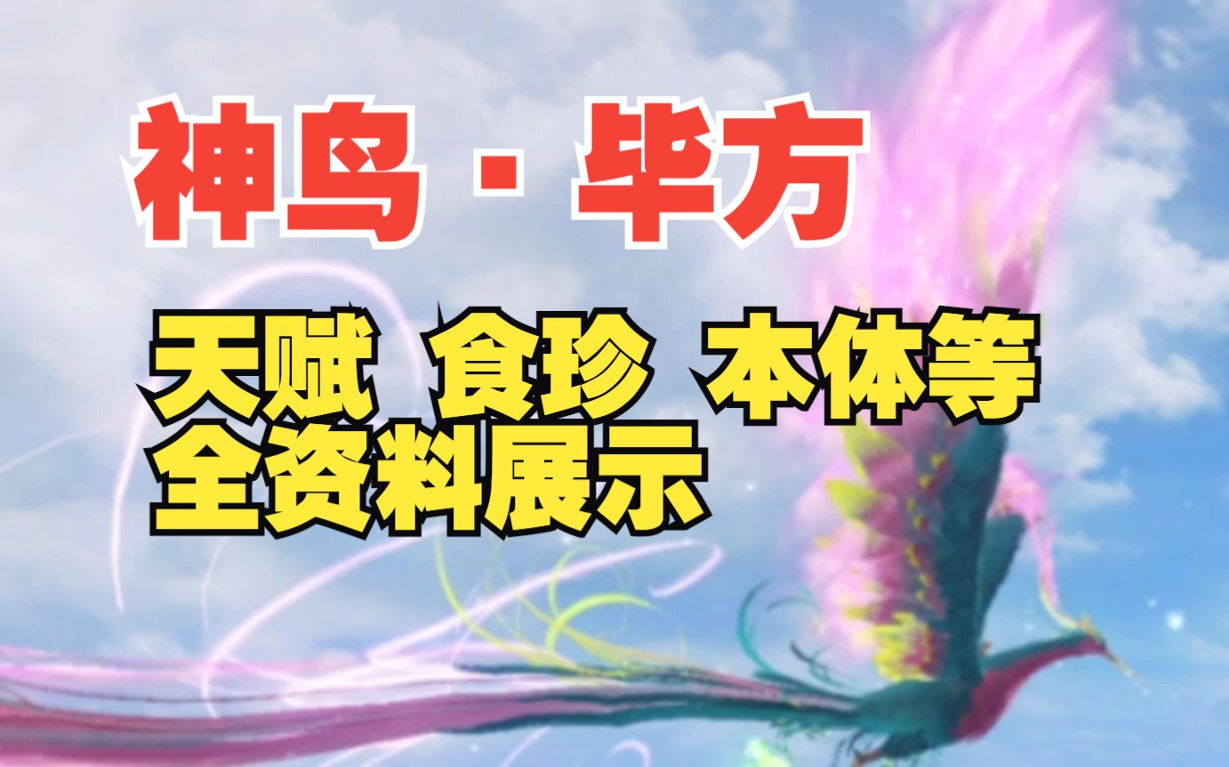 【妄想山海】新进化宠神鸟·毕方 超美外观 首个双天赋 资质 食珍