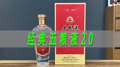 五粮液 白酒 五粮液浓香型白酒4225_哔哩哔哩_bilibili