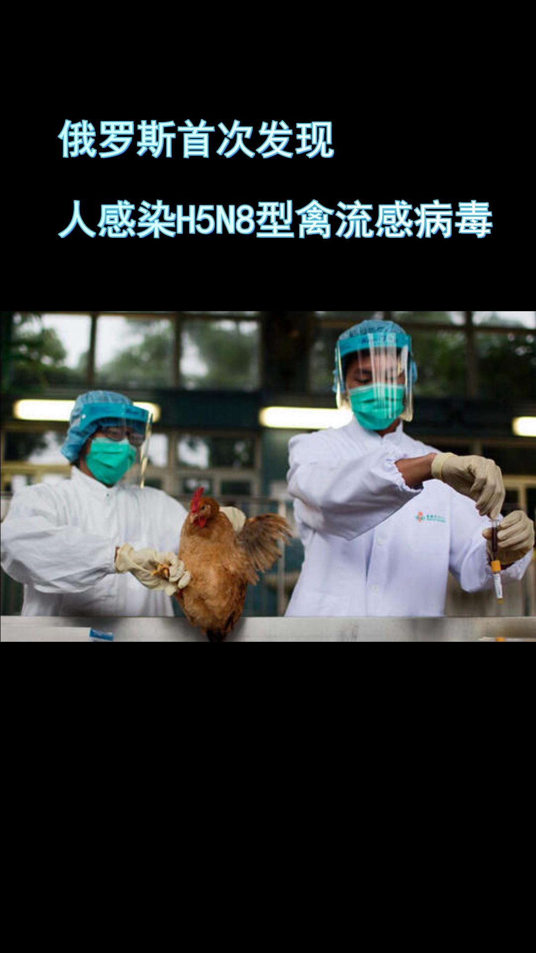 禽流感来了还能放心吃鸡吗?俄罗斯首次发现人感染h5n8型禽流感!