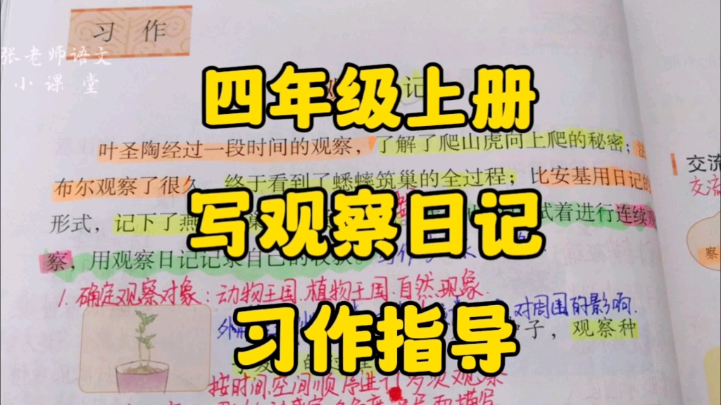 四年级上册:第三单元习作指导,如何《写观察日记》在写的过程中需要注意些什么?哔哩哔哩bilibili