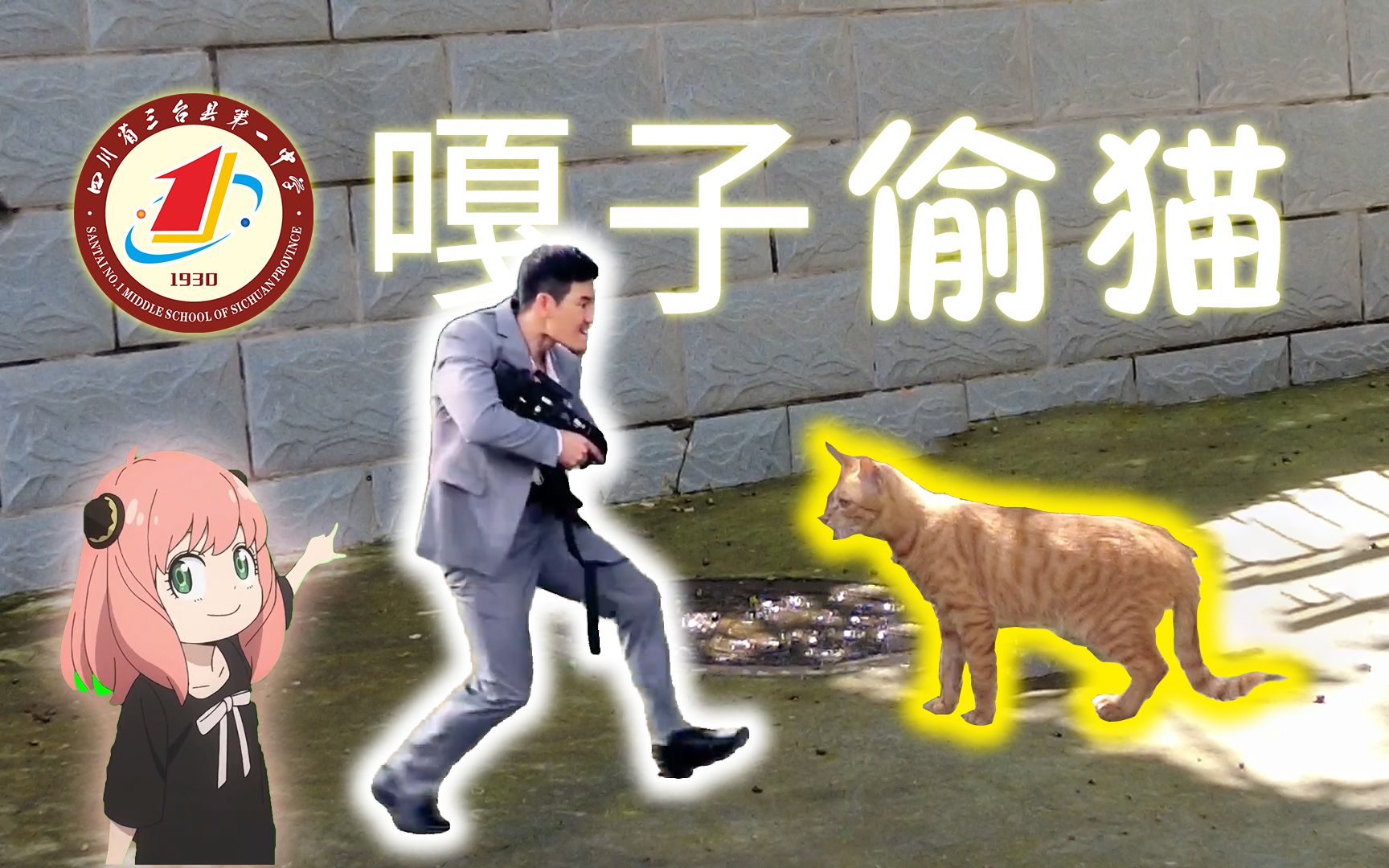 [图]【三台一中】嘎子偷猫