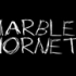 【Marble Hornets】大理石黄蜂-生肉