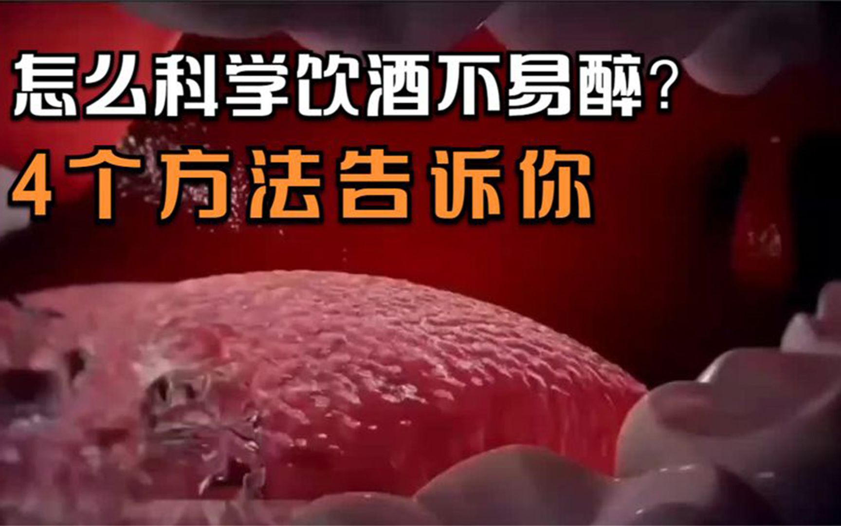 怎么科学喝酒不易醉?4个方法(秘诀)告诉你哔哩哔哩bilibili