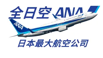 Скачать видео: 【日企见闻录】全日空 ANA——日本最大航空公司