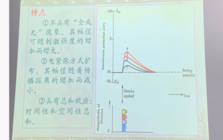 【高中生物竞赛】细胞基本功能的拓展延伸哔哩哔哩bilibili