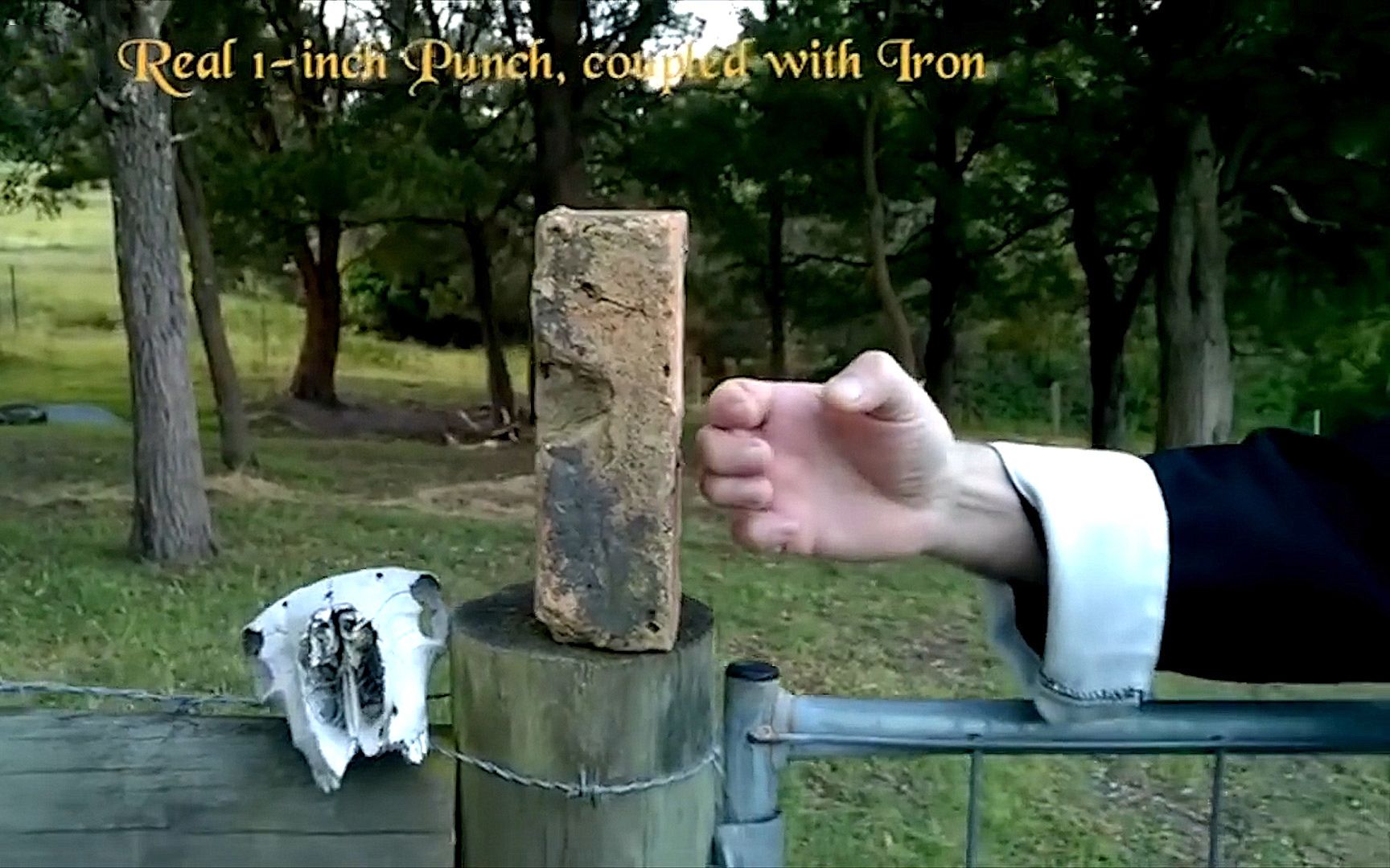 李小龙的寸拳威力有多大武术大师现场展示寸拳轻松打断石块