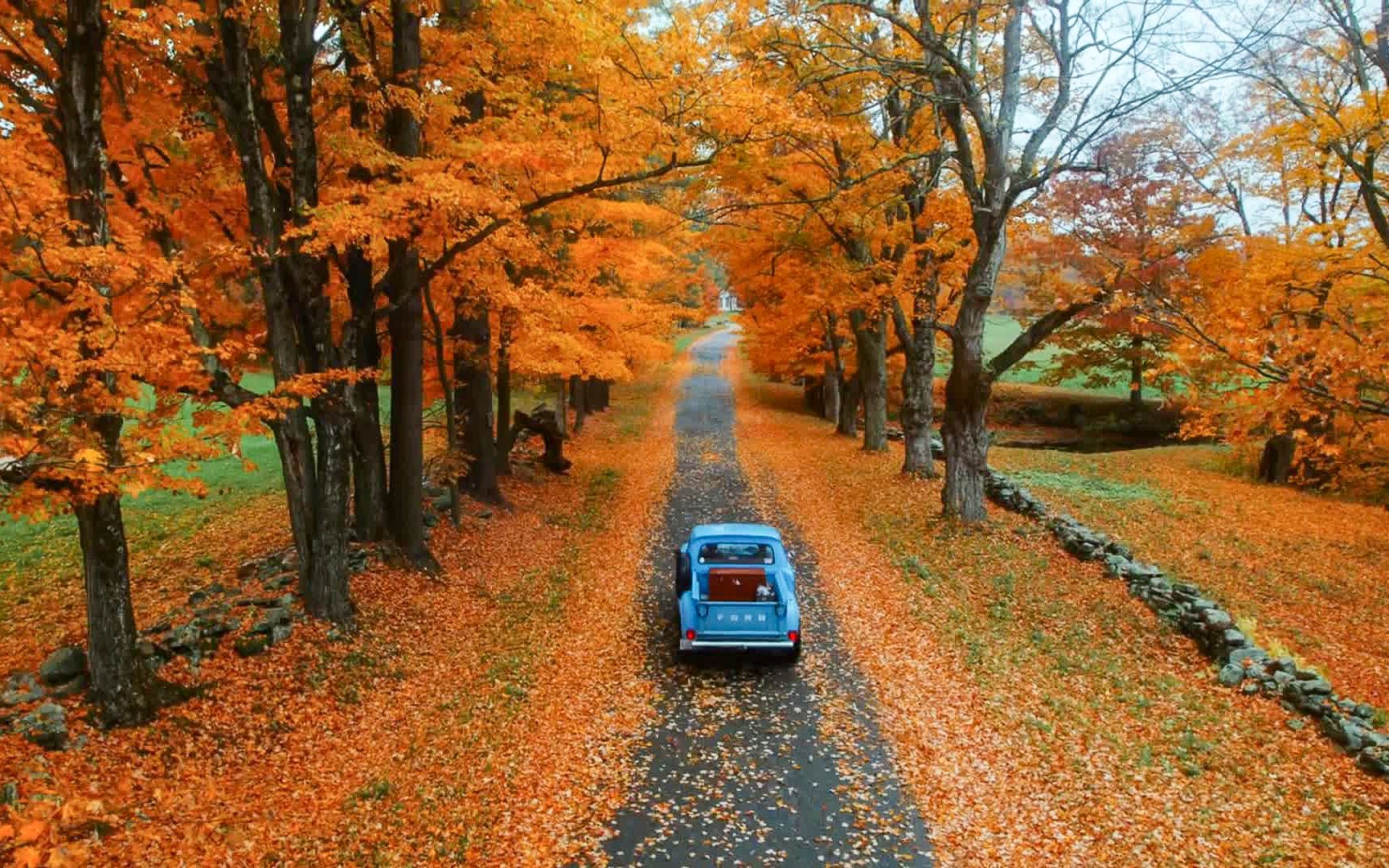 [图]秋天的最后一次旅行，你还没走远，而我已经开始想念！