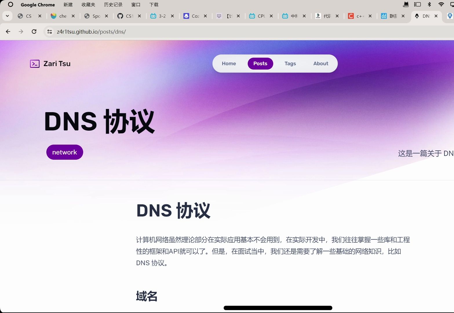 为什么说DNS是计算机网络当中最难懂体量最大的一个部分 CDN 多播 任播