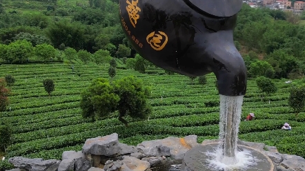 英德茶趣园 广阔畅飞 #航拍 #茶趣园#英红九号