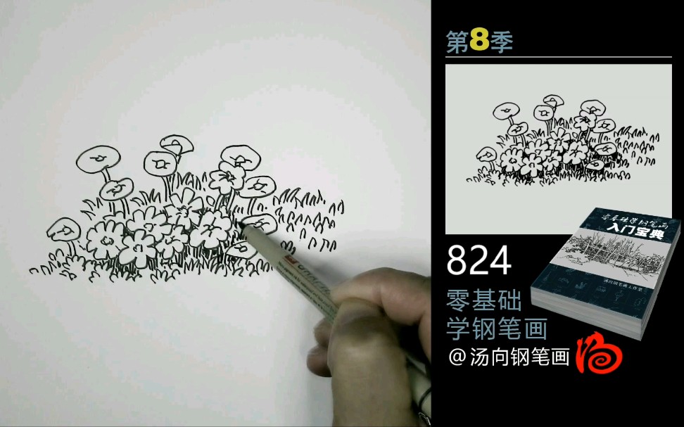 【入门级画画教程】简单花草画法分享!零基础入门者都能学会!哔哩哔哩bilibili