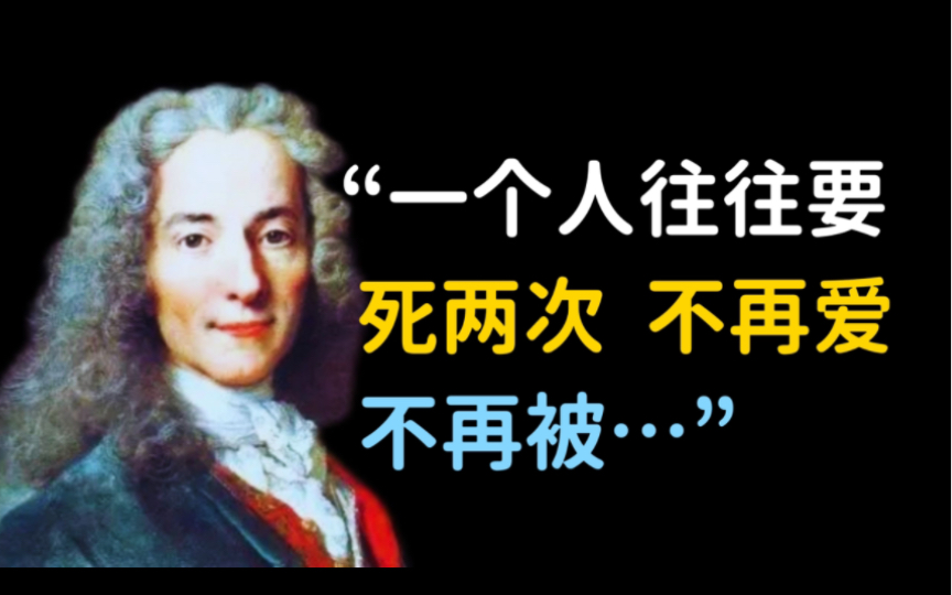 从自由精神到启蒙思想:伏尔泰105则心灵智慧传世哔哩哔哩bilibili