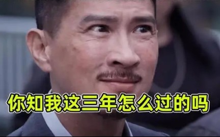 我系渣渣辉哔哩哔哩bilibili