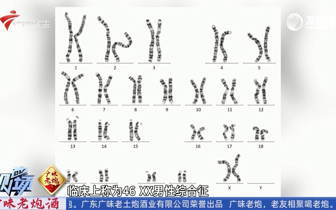 【粤语新闻】广州:夫妻共枕5年不孕 检查发现丈夫变“姐妹”哔哩哔哩bilibili