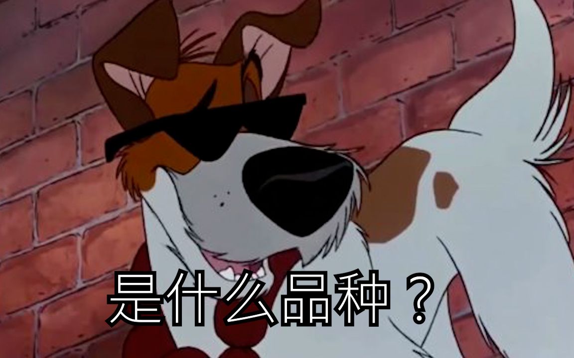 《奥丽华历险记》中的狗狗们都是什么品种?[Oliver&company]哔哩哔哩bilibili