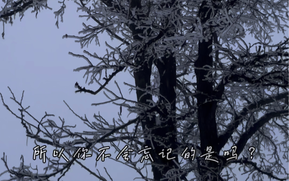 沿途都是风景,幸会,冬天该有的样子