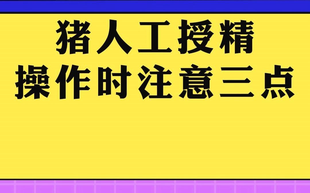 猪人工授精,要想提高配种成功率、母猪产仔数,需要注意3点!养猪人一定要知道!哔哩哔哩bilibili