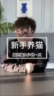 Video herunterladen: 缅因猫多少钱一只？缅因猫价格大揭秘，让我看看你们有没有买贵（C148）