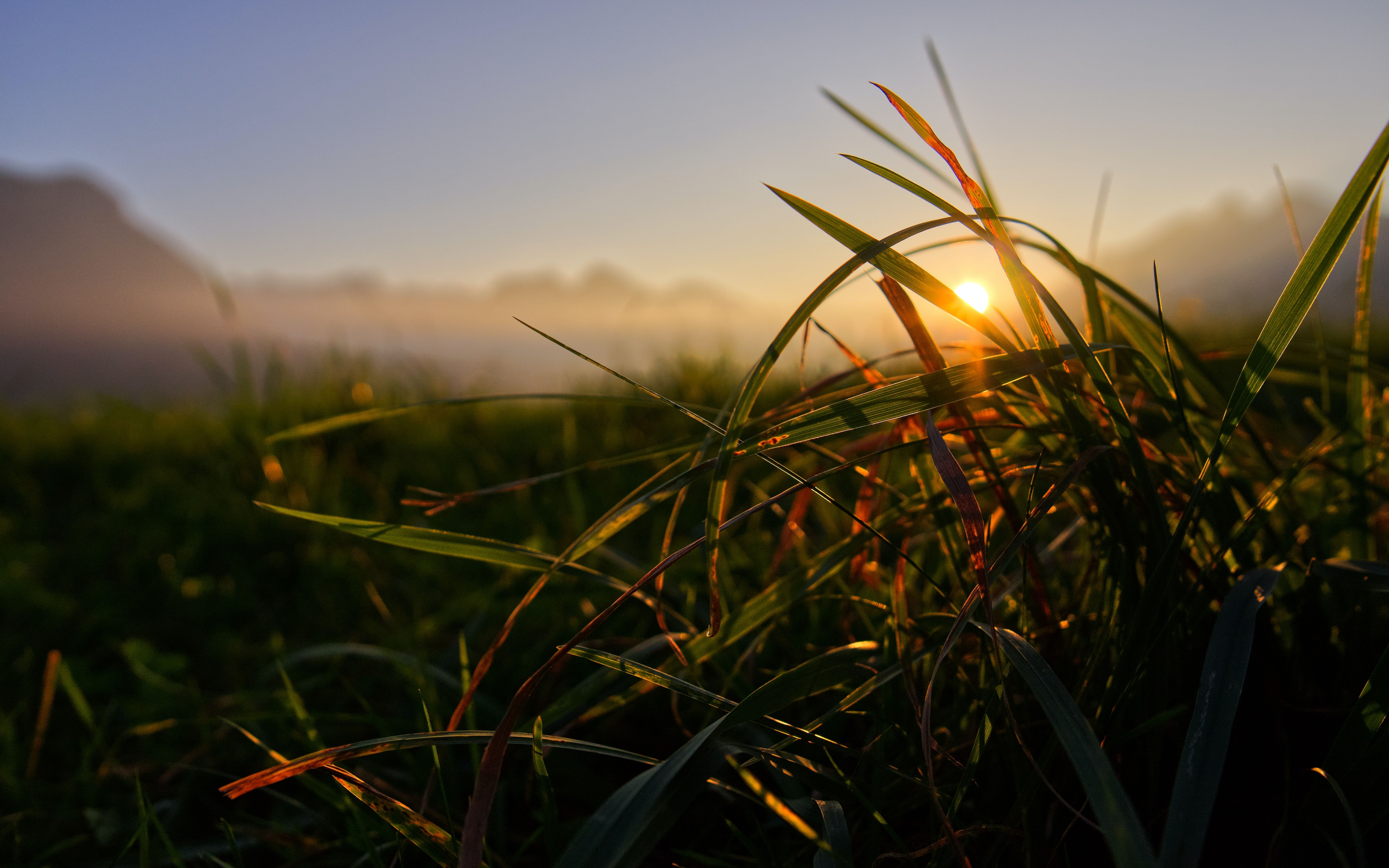 喀尔喀民歌山坡上的青草字幕