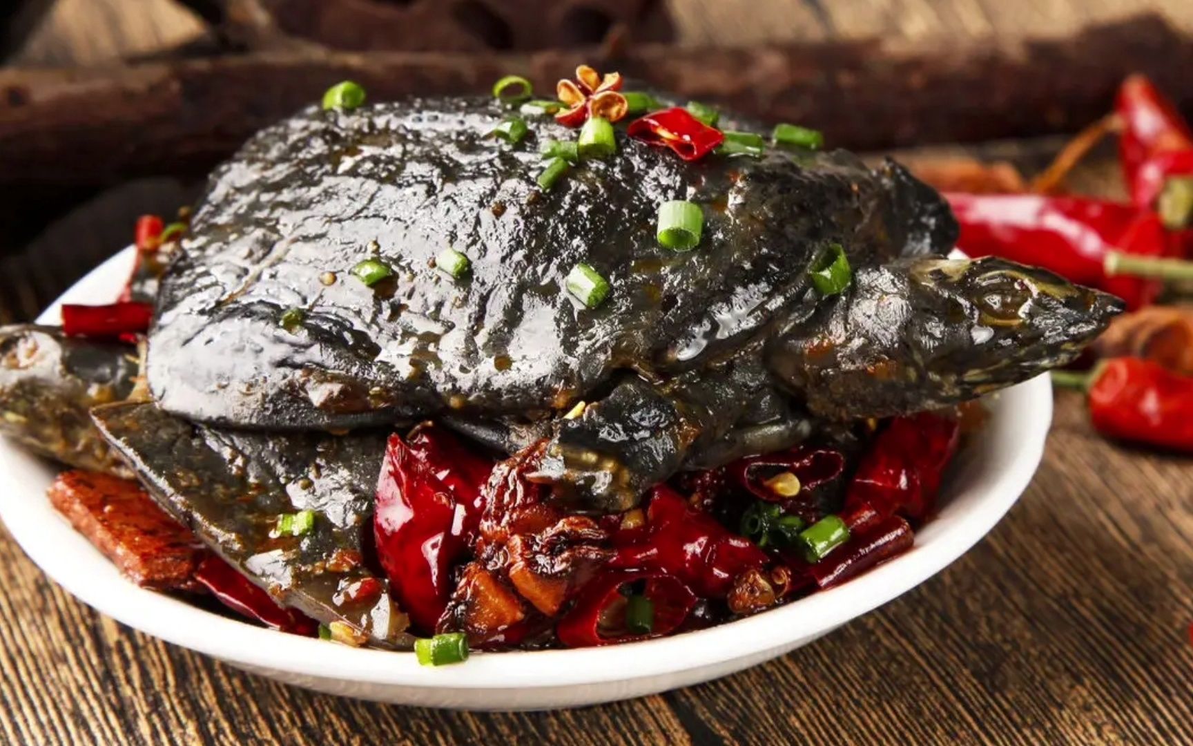 关于麻辣小甲鱼广告录音宣传语