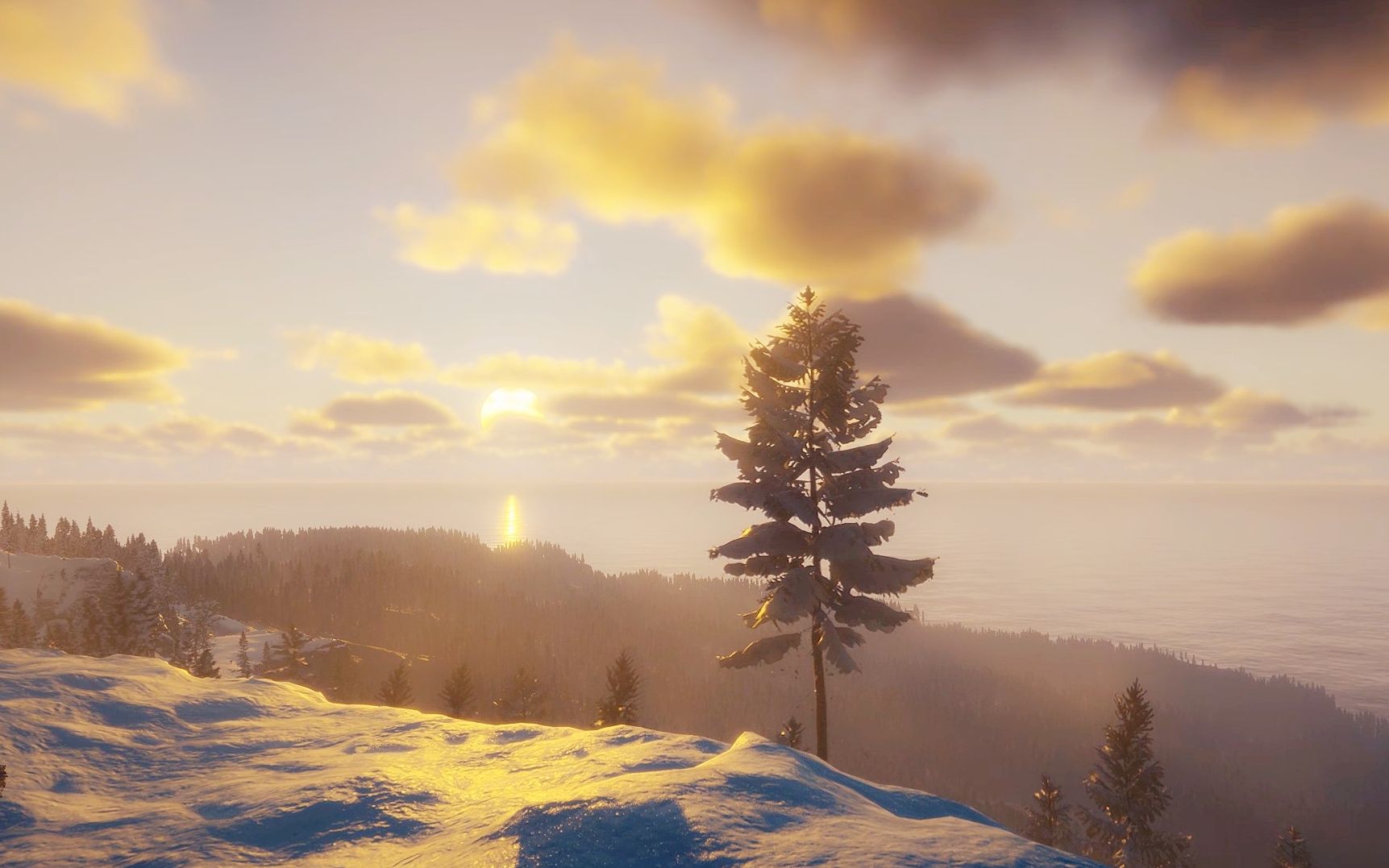 《森林2:森林之子》夕阳无限好,只是近黄昏.