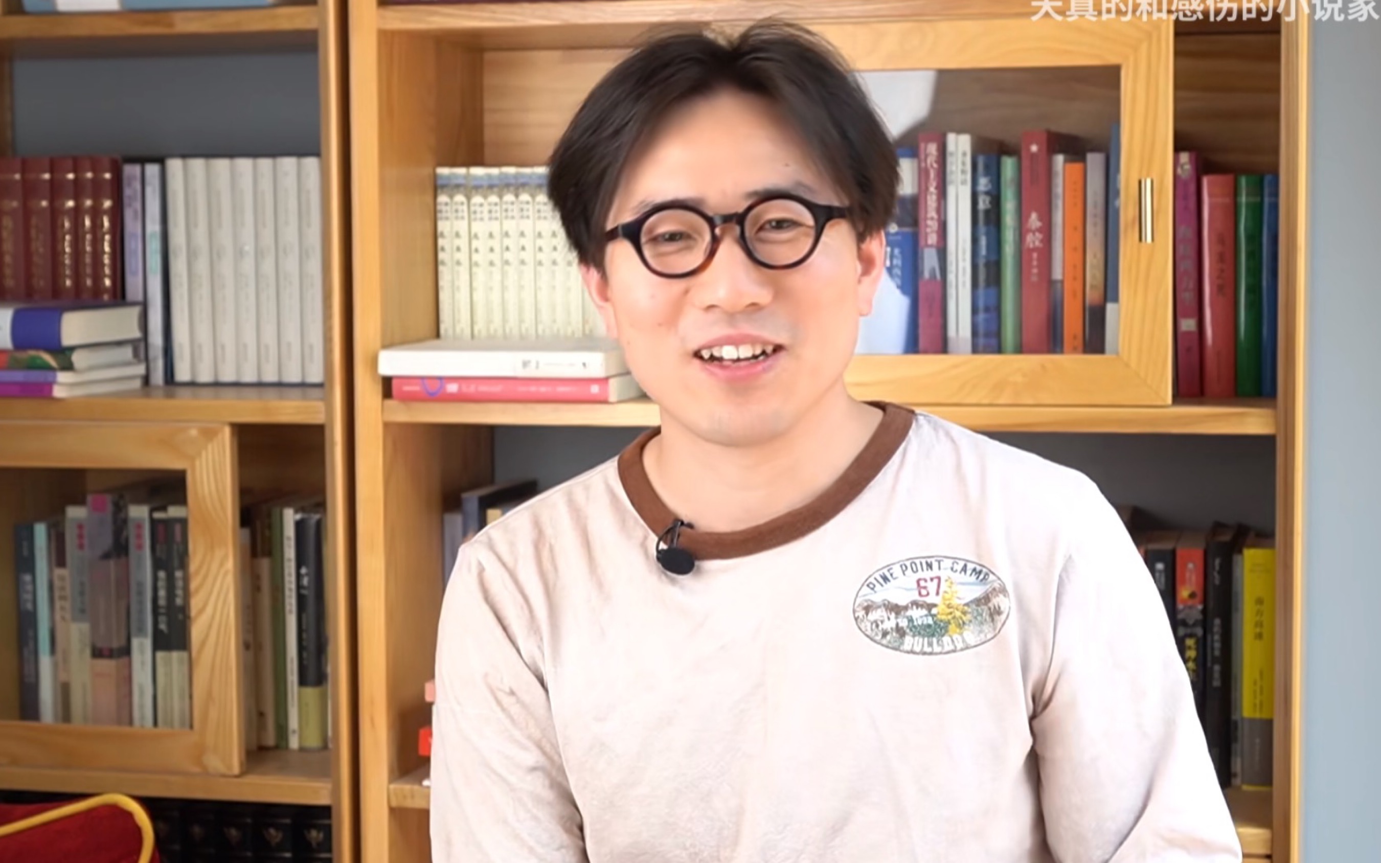 天真的和感伤的小说家安利向四叔内容摘录九