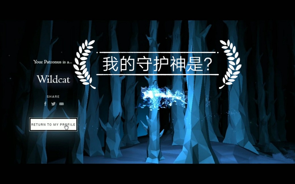 【中字】pottermore 守护神测试 『哈利波特』