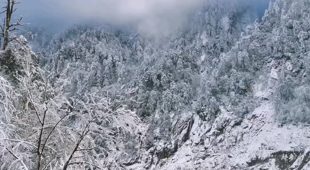 [图]算命测字卜卦的小视频2020年12月11日18:56:16