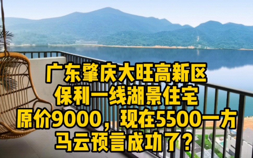 广东肇庆大旺高新区,保利只为冲业绩,原价9000,现在5500一方,送精装,再送车位哔哩哔哩bilibili