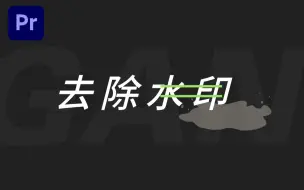 Download Video: Premiere小技巧：想去水印？一个效果搞定