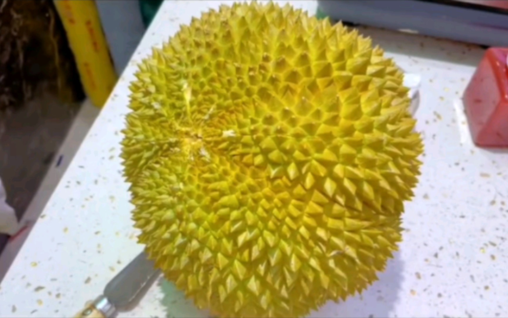 开一个八房肉的榴莲