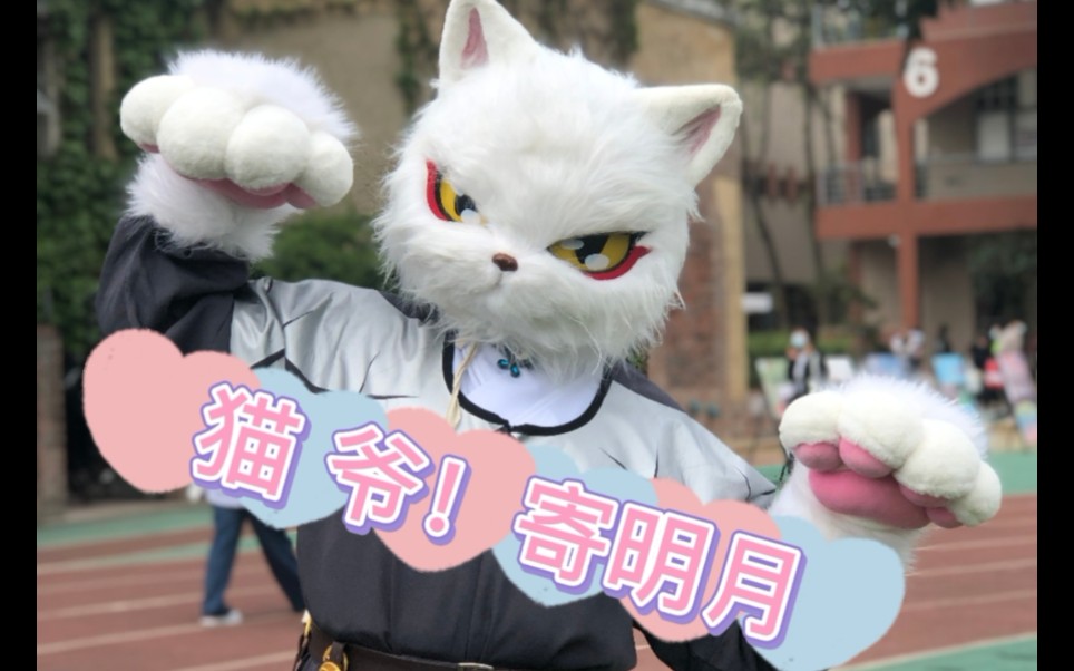 大理寺少卿!猫爷!在线《寄明月》 o(*≧▽≦)ツ