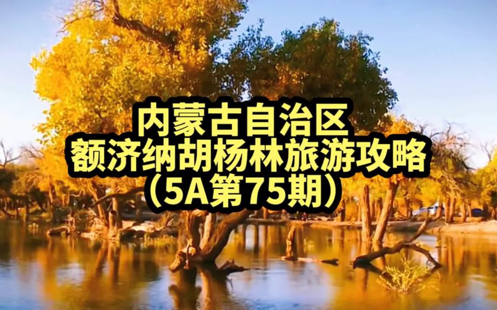 [图]国家AAAAA级景点内蒙古自治区额济纳旗阿拉善盟胡杨林旅游攻略