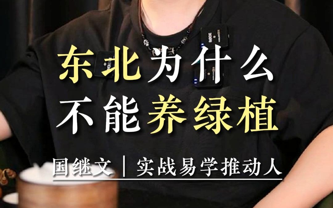 东北为什么不能养绿植/国学/易学哔哩哔哩bilibili