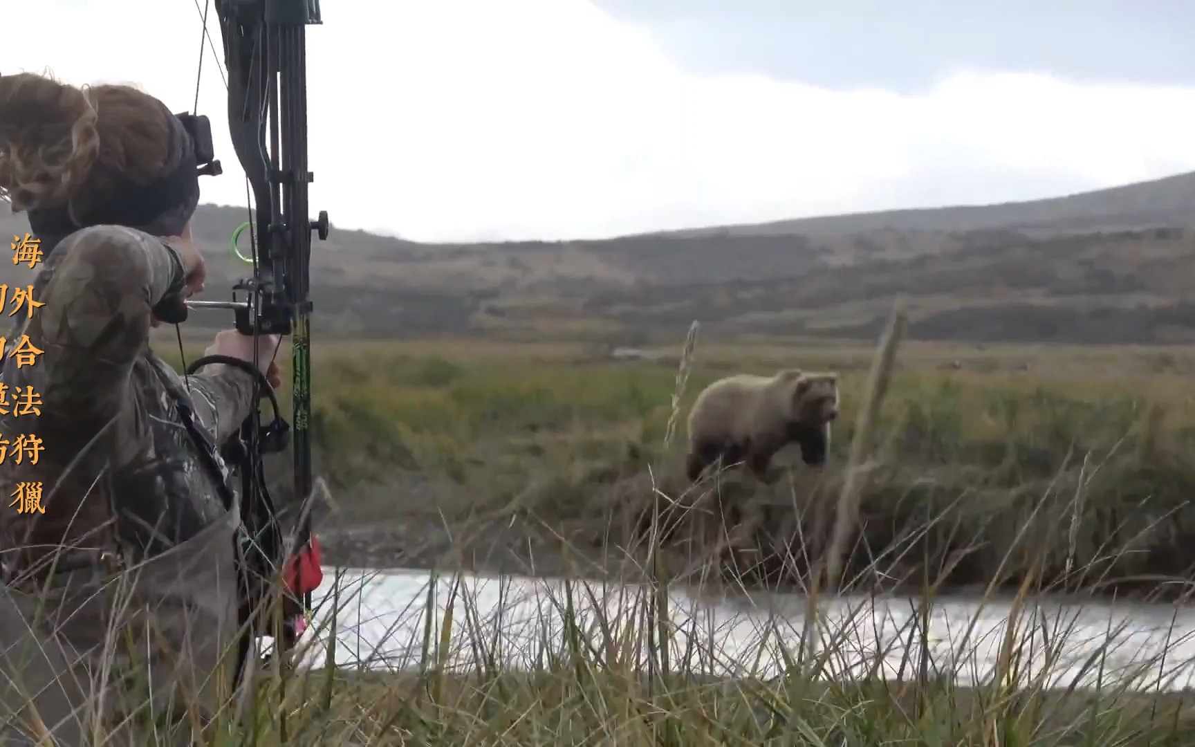 女猎手用复合弓近距离狩猎棕熊,双方距离不足13米