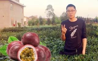 伊藤香苗 搜索结果 哔哩哔哩 Bilibili