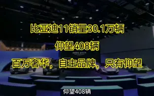 Video herunterladen: 比亚迪11销量30.1万辆！仰望408辆，百万奢华，自主品牌，只有仰望！