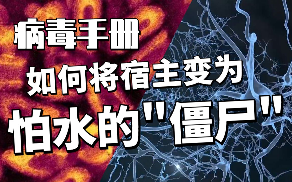 [图]【狂犬病毒手册】顶级战术大师-如何排兵布阵攻陷宿主？