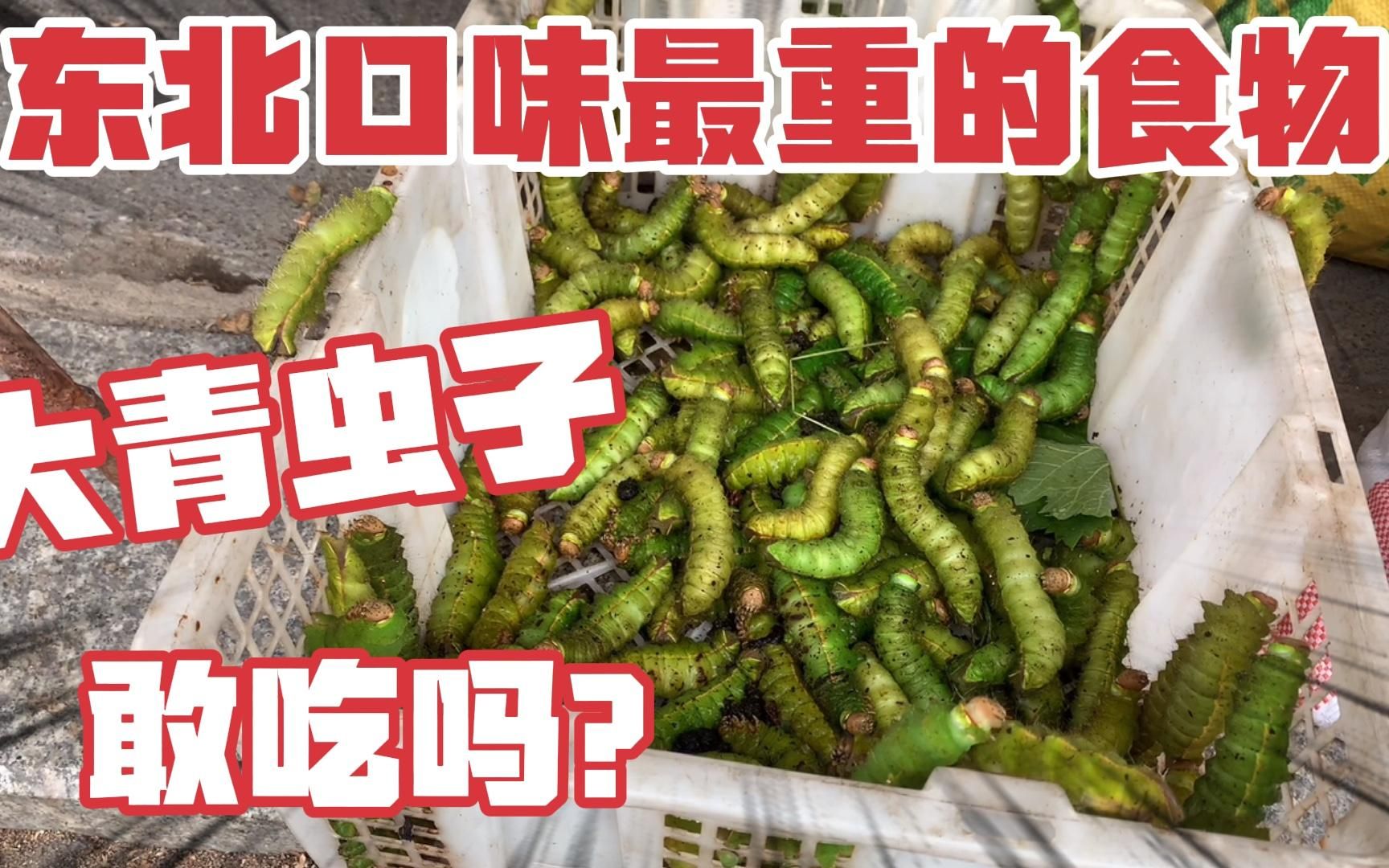 高蛋白有营养的美味!你敢吃吗?
